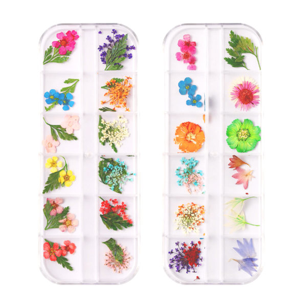 2 lådor Nageltorkade blommor, Nail Art Decor Manikyr Decor Mixed