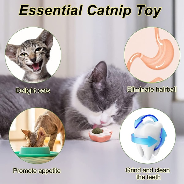 3-pack Cat Paw Catnip-leksaker, kattleksak för tandrengöring,