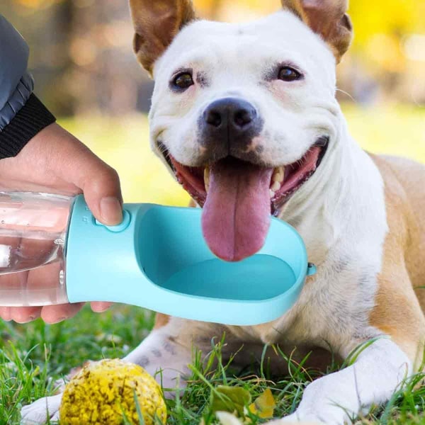 Bärbar vattenkopp för husdjur, hundars medföljande vattenkopp, gå ut för att promenera hunden för att mata vatten utomhus bärbar vattenflaska för katt att dricka vattenkopp