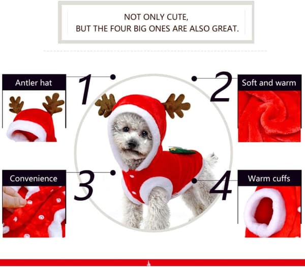 Hund Julkläder, Hund Julkläder, Hund Julkläder