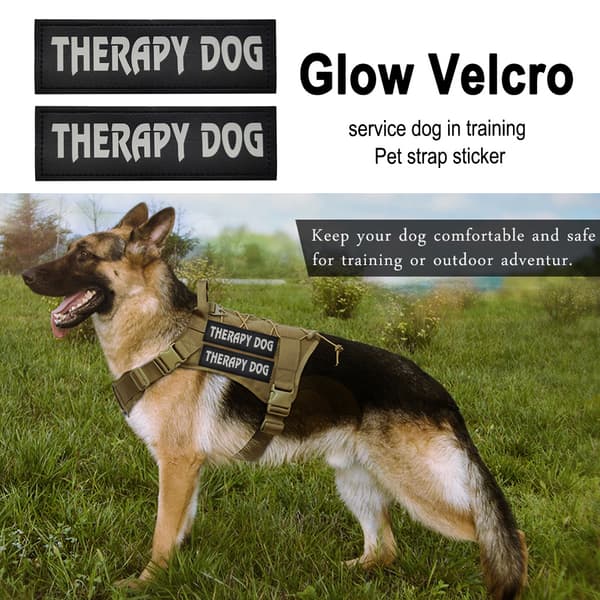Terapihund Patch Set, känslomässigt stöd identifiering med säker krokbaksida, reflekterande material för nattsäkerhet