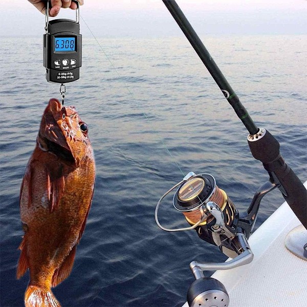 Digital fiskevåg, hög noggrannhet bärbar hängande elektronisk våg med hållbara rostfria stålkomponenter för resor, fiske, shopping