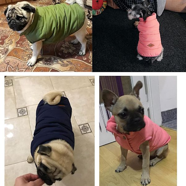 Söt husdjursjacka för hundar, varm vinterkläder, väst, fransk bulldogg, varm väst