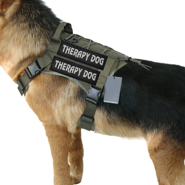 Terapihund Patch Set, känslomässigt stöd identifiering med säker krokbaksida, reflekterande material för nattsäkerhet