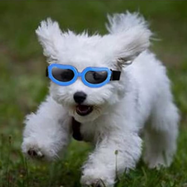 Hundglasögon Snygga vattentäta anti-ultravioletta solglasögon