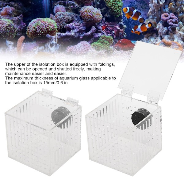 Akryl magnetisk akvarium fisk avel isoleringsbox för baby fisk kläckeri inkubator bur