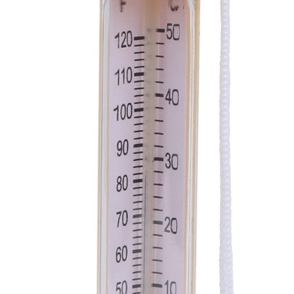 Flytande termometer för simbassäng i form av djur, badtermometer med snöre