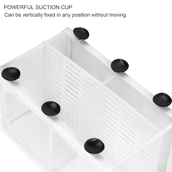 Akvarium Fisk Yngelbox Isolering Box Yngel Kläckningsmaskin med SugkoppL (med Partition)