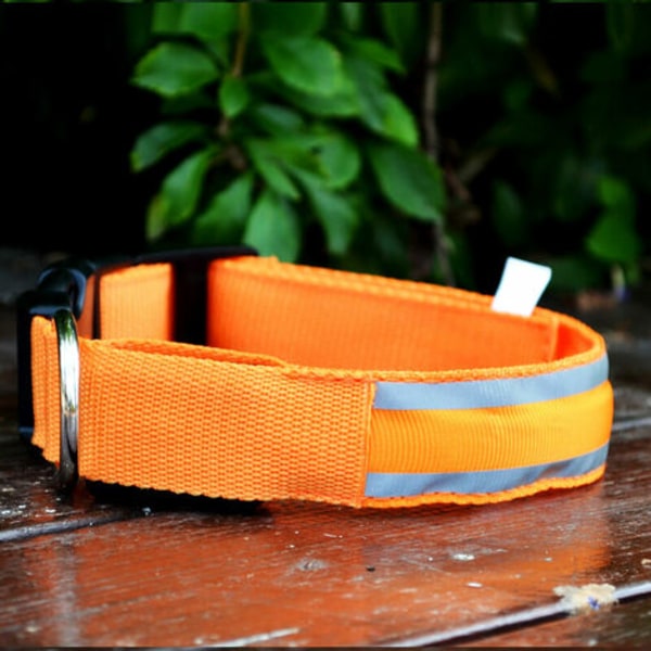 Ljusstark hundhalsband orange M Uppladdningsbart LED-halsband Blinkande LED-säkerhetskedja med justerbart handledsband