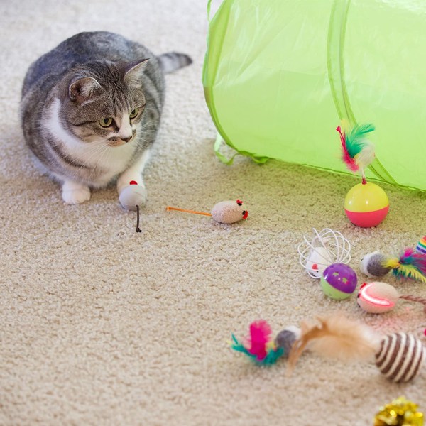 21 st Cat Kitten Leksaker Set, Hopfällbara katttunnlar för inomhus