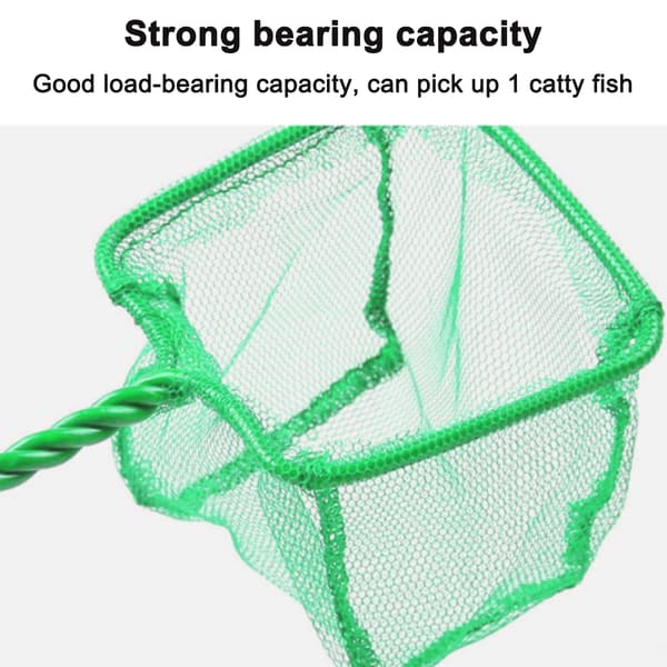 Fisk Isolation Forenklet, Akvariefiskenet, Finmasket Net, For En Problemfri Separationsoplevelse