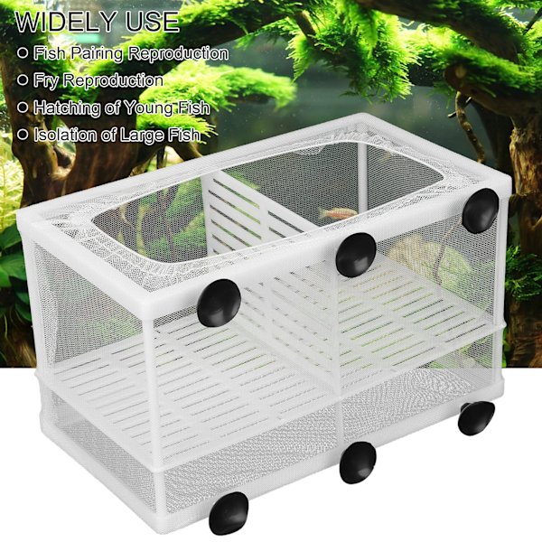 Akvarium Fisk Yngelbox Isolering Box Yngel Kläckningsmaskin med SugkoppL (med Partition)