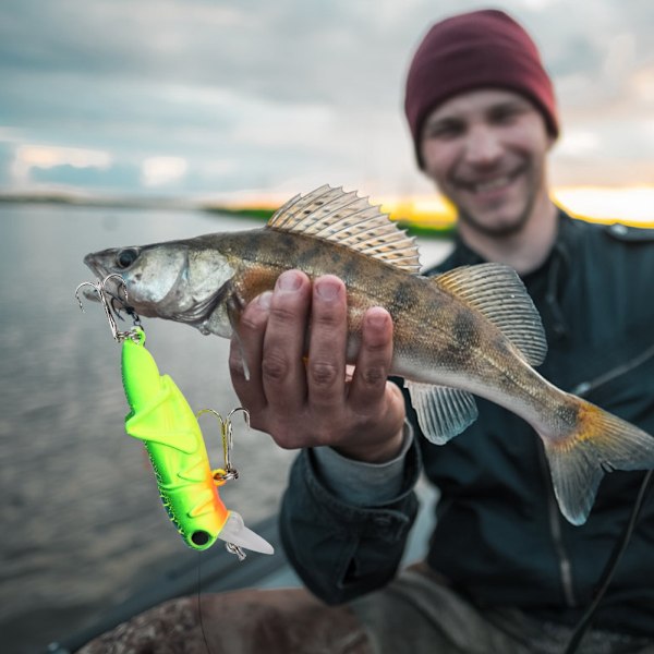 Expert Angler Series, Ledade klor för realistisk aktion, Livsliknande formbete, 5 st starkt färgade fiskedrag i plast