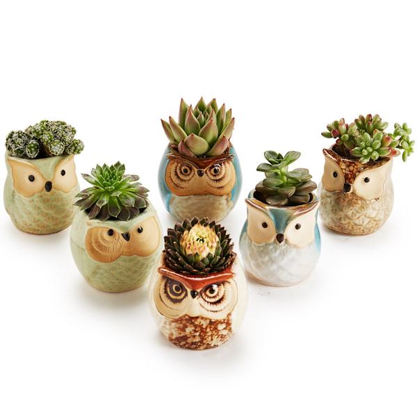 Uggla Kruka Keramisk Flytande Glasyr Bas Serie Set Succulent Växtkruka Kaktus Växtkruka Blomkruka Behållare Planterare med Dräneringshål Hemmakontorsskrivbord