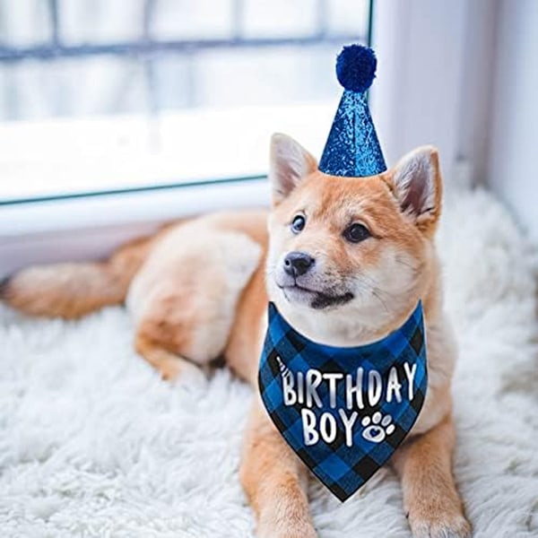 Födelsedagsfirande Set för Husdjur, 'It's My Birthday' Tryckt Rutig Hundscarf, Högkvalitativ Bomull, Trendiga Husdjurskläder för En Oförglömlig Hundfödelsedag