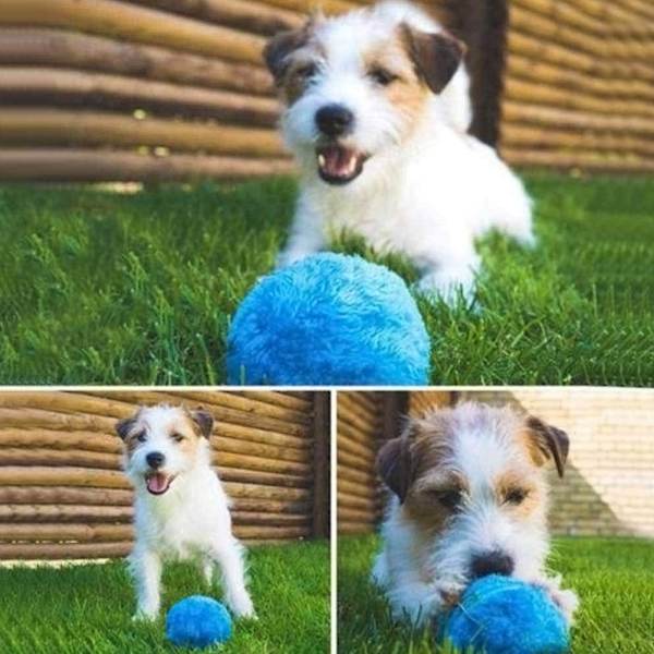 Praktisk magisk rullboll leksak säker automatisk rullboll magisk boll hund katt husdjur interaktiv leksak