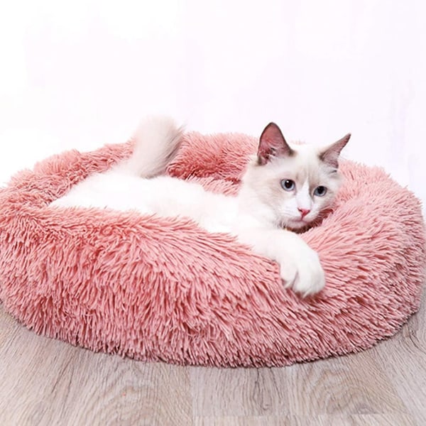 Pet's Paradise, mångsidig design anpassar sig till alla utrymmen, upphöjd kant ger stöd, säkerhet och komfort, maskintvättbar för problemfritt underhåll