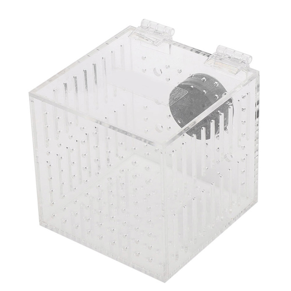 Akryl magnetisk akvarium fisk avel isoleringsbox för baby fisk kläckeri inkubator bur
