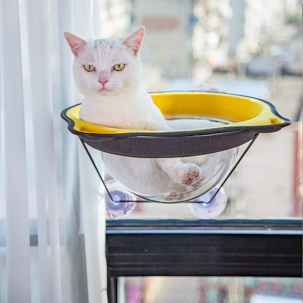 Robust Katt Hylla, Fönstermonterad Kattsäng Erbjuder Enkel Åtkomst För Obegränsad Hoppning