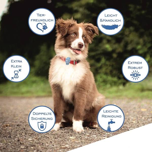 Hänge för AirTag case för hundar tillbehör för husdjur