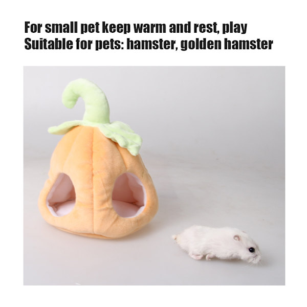 Liten husdjurshållande varm hus marsvin chinchilla igelkott hamster pumpa bomullsbo