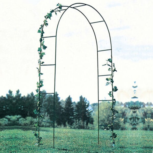 Hållbar trädgårdsbåge 240x140x38cm för klätterväxter Bröllop