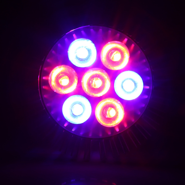 E27 AC85-265V Röd+Blå Hög Effekt LED Växtlampa för Hydroponik #2 21W