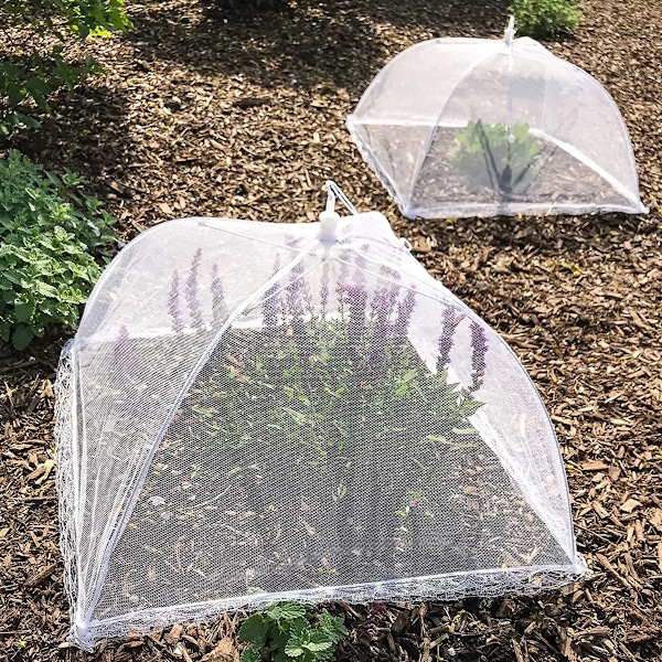 (6-pack) Stora och höga 17x17 pop-up nätmatskydd tältparaply för utomhusbruk, skärmtält, fester picknickar, grillfester, återanvändbara och hopfällbara