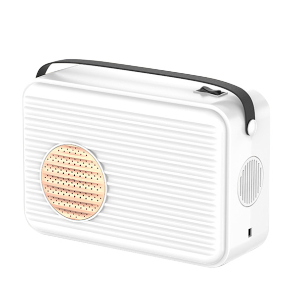 Mini klädtork Rapid Heating Multifunktionell Flexibel Bärbar Liten Skotork för Hem Sovsal Resor CN 220V