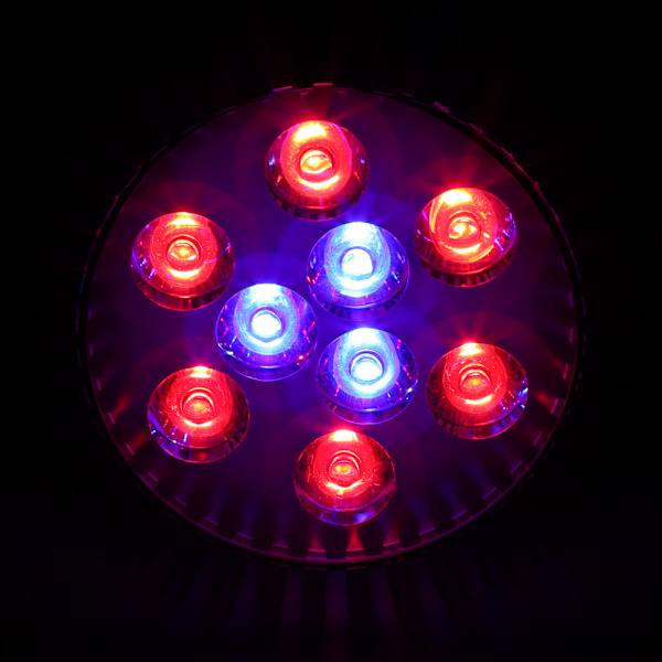 E27 AC85-265V Röd+Blå Hög Effekt LED Växtlampa för Hydroponics #3 27W