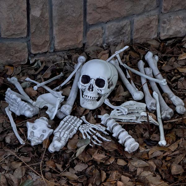 28 dele, 4,5 pund knoglepose skelet skelet Halloween
