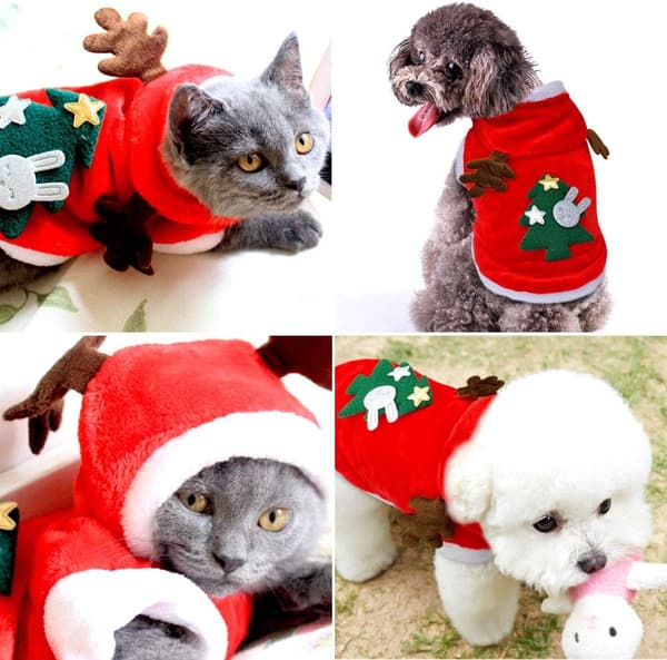 Hund Julkläder, Hund Julkläder, Hund Julkläder