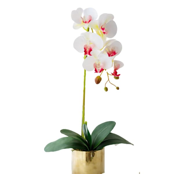 Kunstige orkidéplanter med vaser Kunstige Phalaenopsis-orkidéer til dekorasjon Hjemmekontor Rose Red