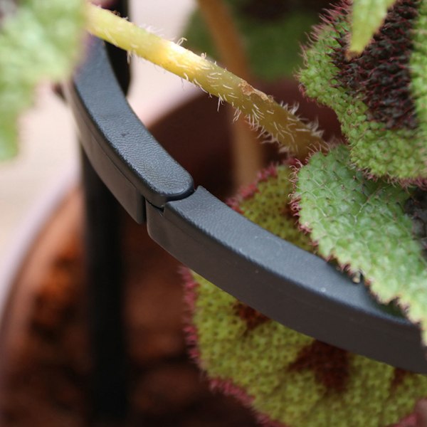 8 mm beslag dværg potteblomst stativ plantebeslag hjælpeklatrestativ - cirkeldiameter 28 cm højde 45 cm