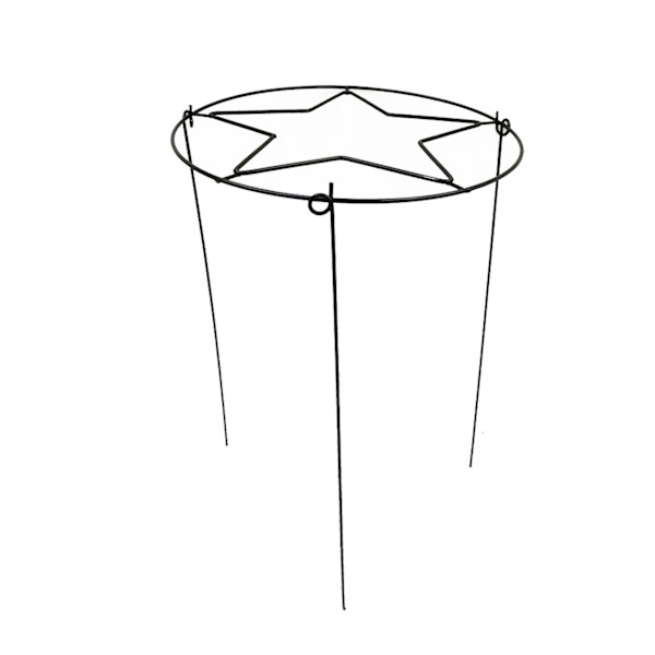 (1 pakkaus) Musta Puutarhan Kasviteline Puutarhan Kiipeilyteline Kukkateline Rauta Metalli Pioniteline Sisä- ja Ulkokäyttöön Kiinteä Tanko 30*45cm, Rauta Taide