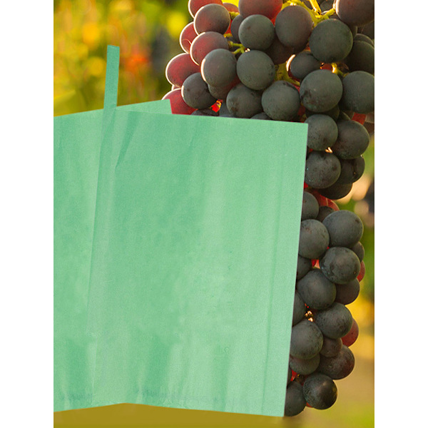 (100 kpl, mitat: Vihreä Sunshine Rose 25*34cm) Puuvillan paperi hedelmien yleiskäyttöinen pussimateriaali: paperimassa (paketin koko: 40*14*3cm)