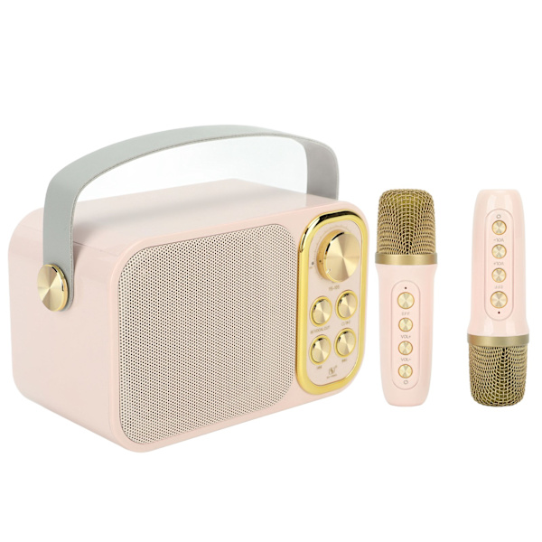 Karaokemaskin med 2 mikrofoner Allt-i-ett-maskin Bärbar Bluetooth Sångmaskin för Hemfest Rosa