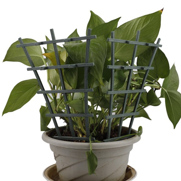 (6+4 sarjaa sisältää: 25cm/köynnöskoukku 6 kpl + 26cm/pudotussuoja 4 kpl) Puutarhatarvikkeet (paketin koko: 27*16*4cm)