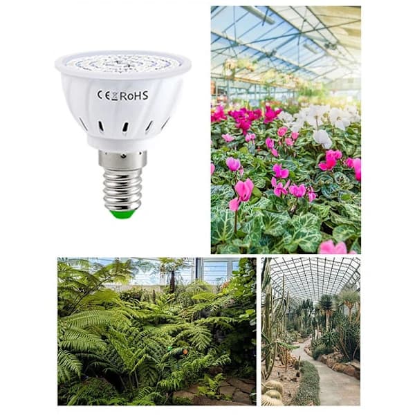 E14 Fullspektrum LED Växtlampor - 8-pack för Inomhusväxter & Hydroponik