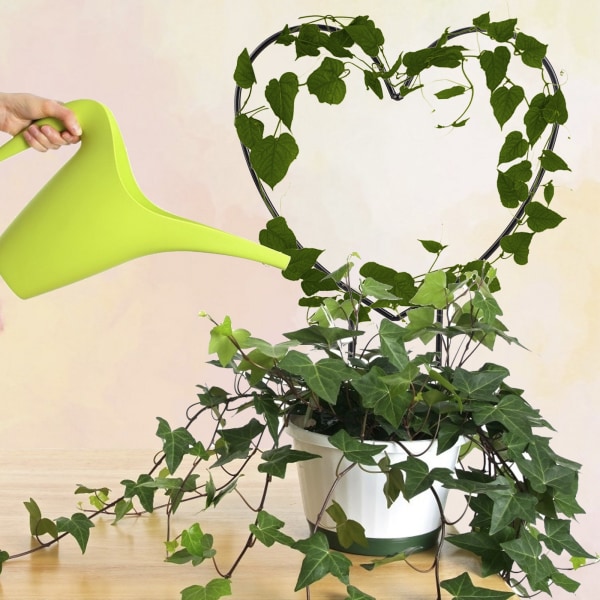 (1st Love) Plant Support Stand Metall Plant Stand (Förpackningsstorlek: 33*24*1cm)