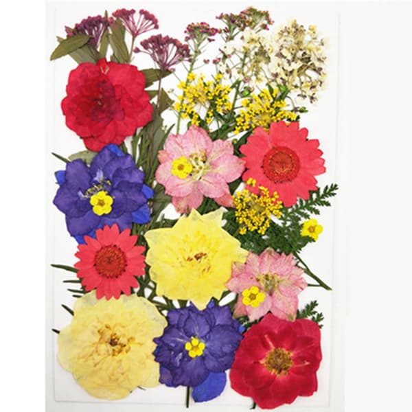 DIY Tørrede Blomster Materialesæt Mode Presset Blomster Plante Håndværk til Sæbefremstilling Spring Series