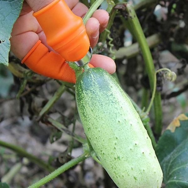 Plukk Tommelkutter Fingerhylse Sett Plukkeverktøy for Høsting Hageplante Frukt Grønnsak Plukker