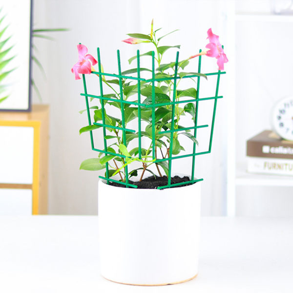 Plastik plante støtte ramme, plante klatrebrakett - 3 stk klatrebraketter (materiale: plast, størrelse: 30*19cm)