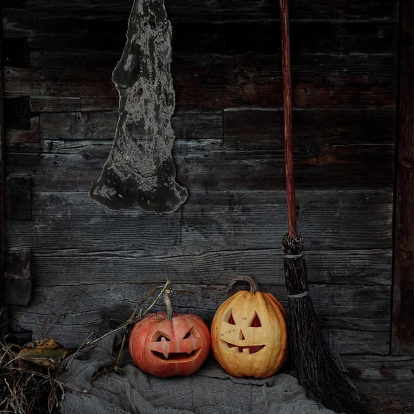 Halloween edderkoppespind dekoration til indretning 2 sæt med edderkopper i sort farve