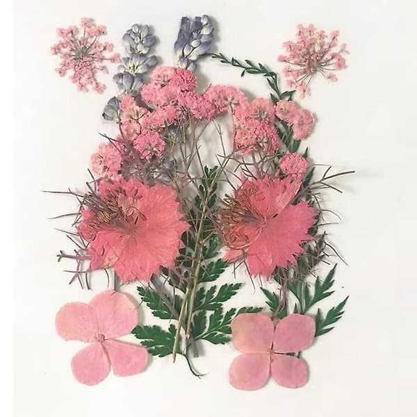 Presset blomst blandet tørrede blomster materiale til DIY aromaterapi stearinlys lykønskningskort epoxy håndværk Chrysanthemum Leaf Flower Package