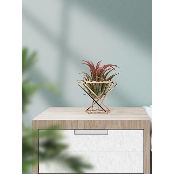 Bromeliad Plante Stativ Geometrisk Luftplante Stativ Pudderpude Stativ - Sølv (Materiale: Metal, Størrelse: Diameter 55MM, Højde 45MM)