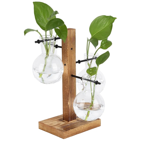 Innovativ Hydroponisk Vase med Træstativ Transparent Bordblomstervase til Hjemmet
