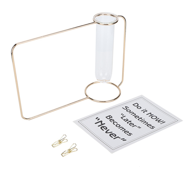 Innovativ Hängande Växtkruka Testtube Transparent Hydroponisk Växtvas för Hemmet IndoorGold