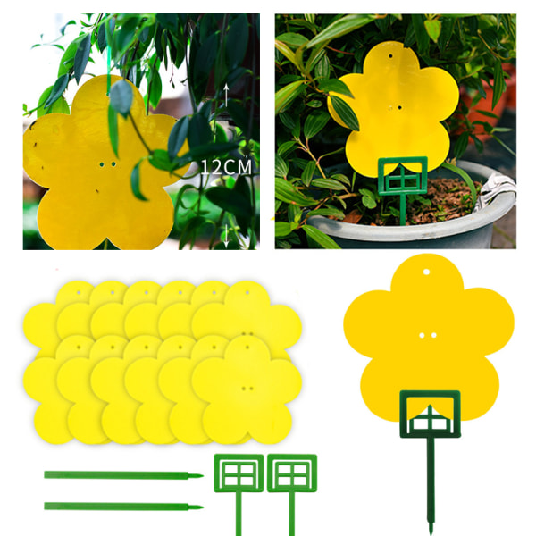 (Blomformad 12-pack) Ny blomformad dubbelsidig insektsfälla (Bild: Uppgraderad blomformad 1 låda med 12 stycken med fäste)