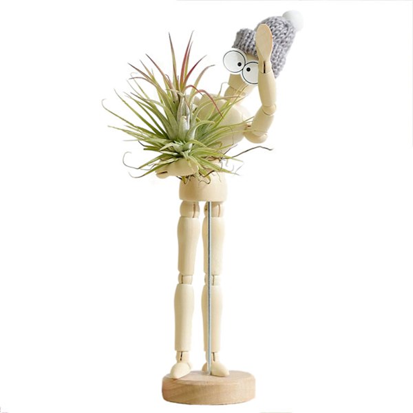 (1st/5,5 tum hög 16 cm) Trädocka Luft Ananas Stativ Prydnad